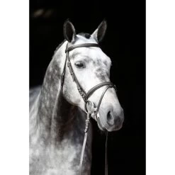 Kerbl Trensenzaum Standard Leder Braun -Geschaft Fur Pferdebedarf kerbl 32171421.87b3ec