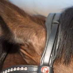 Kieffer Trense Comfort Paris II Schwarz -Geschaft Fur Pferdebedarf kieffer 44981748 3.d2f856