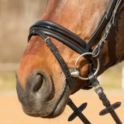 Kieffer Trense Comfort Paris II Schwarz -Geschaft Fur Pferdebedarf kieffer 44981749 3.8879da