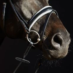 Kieffer Trense Sylvie II Crystals/Pearls Lack Schwarz/Weiß 8 Kieffer Trense Sylvie II Crystals/Pearls Lack Schwarz/Weiß -Geschaft Fur Pferdebedarf kieffer 44981825 3.631005