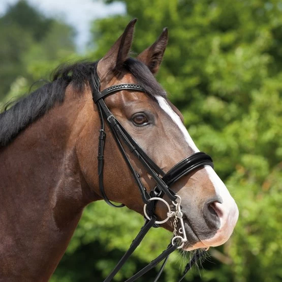 Kieffer Kandarenzaum Paris Grey Crystals Schwarz 3 Kieffer Kandarenzaum Paris Grey Crystals Schwarz