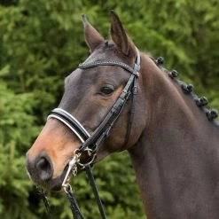 Kieffer Kandarenzaum Paris Grey Crystals Schwarz 8 Kieffer Kandarenzaum Paris Grey Crystals Schwarz -Geschaft Fur Pferdebedarf kieffer 44982332 1.5263a5