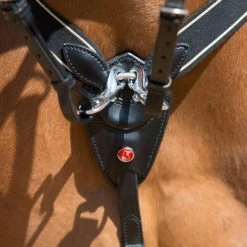 Kieffer Brustgeschirr Arlene Elastisch Braun -Geschaft Fur Pferdebedarf kieffer 922 arlene vorderzeug breastplate 3.3850cd