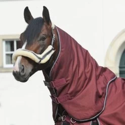 Kavalkade Halsstück Alaska IV 100g Bordeaux -Geschaft Fur Pferdebedarf kv 46440.0bbbc3