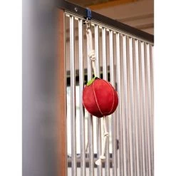 LeMieux Horse Toy Cupcake 11 LeMieux Horse Toy Cupcake -Geschaft Fur Pferdebedarf lemieux 3n6a4599 edit copy.af1656 1