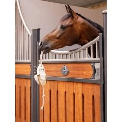 LeMieux Horse Toy Cupcake 13 LeMieux Horse Toy Cupcake -Geschaft Fur Pferdebedarf lemieux 3n6a4666 edit copy.98abfb 1