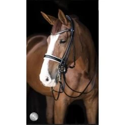 Geschaft Fur Pferdebedarf -Geschaft Fur Pferdebedarf lj lps111 blc.7bd278