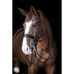 Geschaft Fur Pferdebedarf 20 LJ-Leathers Kandarenzaum Serrena Rund Genäht Schwarz