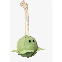 LeMieux Spielzeug Paard Sprout Sprout -Geschaft Fur Pferdebedarf lm 3n6a3433 edit copy 1.628ef2