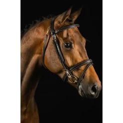 Mrs. Ros Zaum Ortega Deluxe Schwarz 8 Mrs. Ros Zaum Ortega Deluxe Schwarz -Geschaft Fur Pferdebedarf mrsros hvphotography 10.f03f85