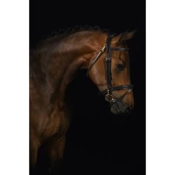 Geschaft Fur Pferdebedarf 12 Mrs. Ros Zaum Ortega Deluxe Schwarz