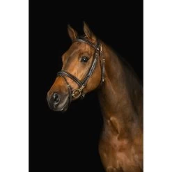 Geschaft Fur Pferdebedarf -Geschaft Fur Pferdebedarf mrsros hvphotography 8.9d6719