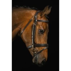 Mrs. Ros Zaum Ortega Deluxe Dunkelbraun -Geschaft Fur Pferdebedarf mrsros hvphotography 9.7d5fca 1