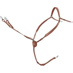 Passier Vorderzeug Marcus Ehning Havanna/Gold -Geschaft Fur Pferdebedarf pas 688 me vz tea edst mtggab.be6432