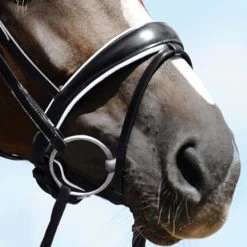 Passier Reithalfter Anatomsich Geformt Schwarz/Gold -Geschaft Fur Pferdebedarf passier 823 anat wn rh spez wei unterf mit sperr sch pferd 3800x3800.83d055