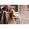Kentucky Horsewear Relax Horse Toy Braun -Geschaft Fur Pferdebedarf productken 82104 05.cd9f00