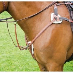 Avignon By Shires Brustgeschirr 5 Punten Oak