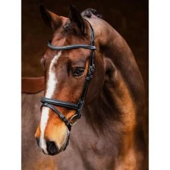 Geschaft Fur Pferdebedarf 14 PS Of Sweden Trense Stockholm Schwarz