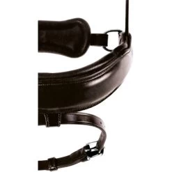 Schockemöhle Nasenriemen Stanton Select Anatomisch Schwarz 8 Schockemöhle Nasenriemen Stanton Select Anatomisch Schwarz -Geschaft Fur Pferdebedarf schock 1340 00097 nosebandstantonselect espresso.832df4