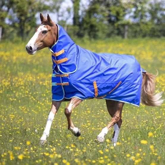 Tempest Original By Shires Winterdecke Turnout 50g Combo Royal 5 Tempest Original By Shires Winterdecke Turnout 50g Combo Royal – Bild 3