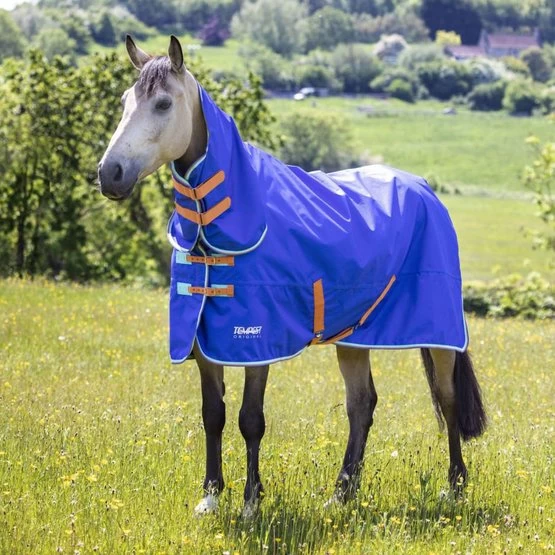 Tempest Original By Shires Winterdecke Turnout 50g Combo Royal 4 Tempest Original By Shires Winterdecke Turnout 50g Combo Royal – Bild 2