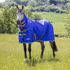 Tempest Original By Shires Winterdecke Turnout 50g Combo Royal 18 Tempest Original By Shires Winterdecke Turnout 50g Combo Royal -Geschaft Fur Pferdebedarf shires 9373 royal 3.eed25d