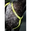 Shires Fliegenhaube Reflektierend Fluor Gelb -Geschaft Fur Pferdebedarf sk 9re130 1195.f9931b