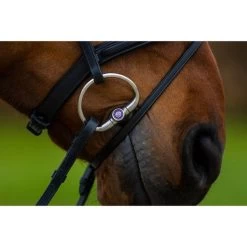 Trust Zaum Amsterdam Braun/Silber -Geschaft Fur Pferdebedarf trust amsterdam comb anatomic noseband wider in middle heus23l296423.0f216b