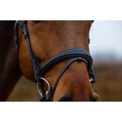 Trust Zaum Amsterdam Braun/Silber -Geschaft Fur Pferdebedarf trust amsterdam comb anatomic noseband wider in middle heus23l296424.f93197