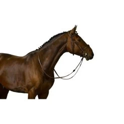 Trust Zaum Amsterdam Braun/Silber -Geschaft Fur Pferdebedarf trust amsterdam comb anatomic noseband wider in middle heus23l296454 vrijstaand.3391fc