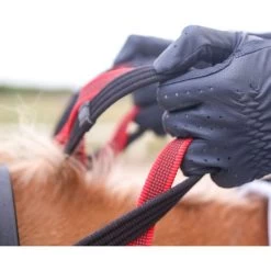 Waldhausen Vorderzeug Secutrust Mit Sicherheitszügel Schwarz -Geschaft Fur Pferdebedarf wald 8105101 1 4.98f59d