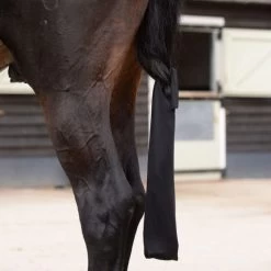 Weatherbeeta Schwanztasche Lycra Violett 7 Weatherbeeta Schwanztasche Lycra Violett -Geschaft Fur Pferdebedarf wb 803186.210418